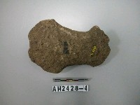 藏品(有腰打製石斧)的圖片